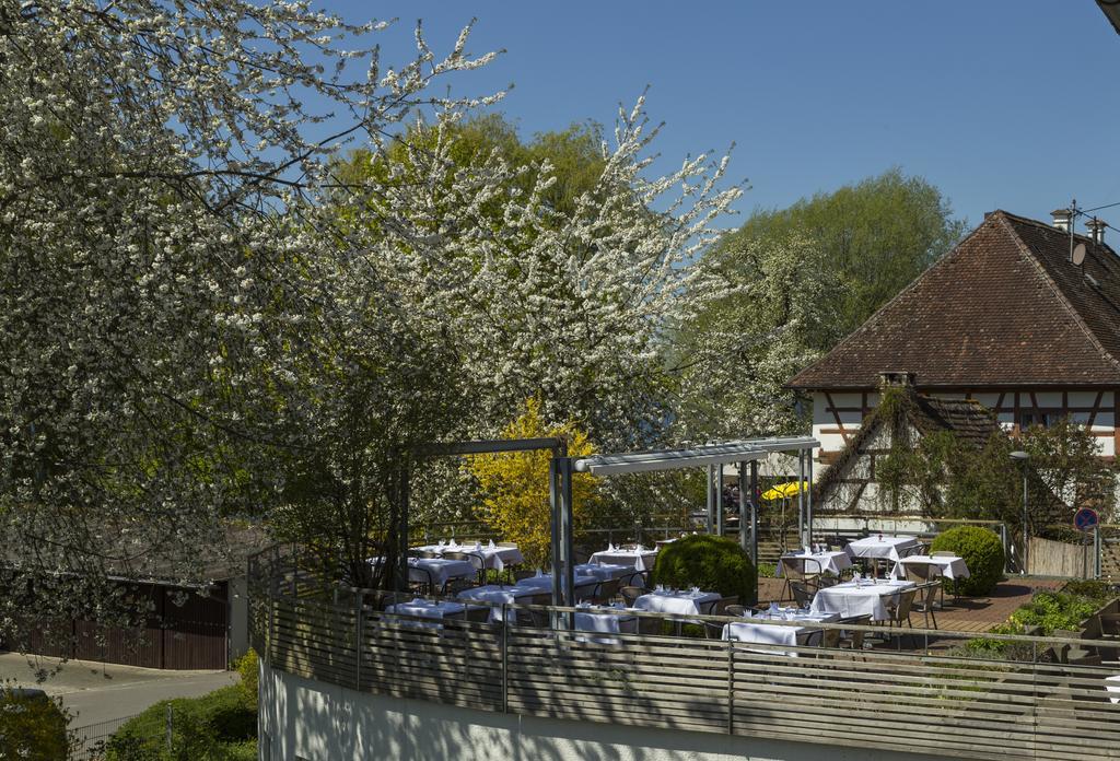 Hotel Pilgerhof Und Rebmannshof Uhldingen-Mühlhofen Zewnętrze zdjęcie